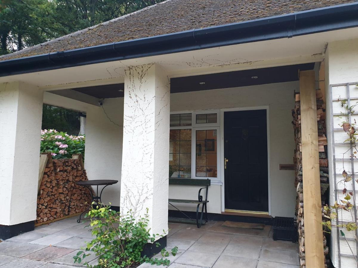 Wye Valley Retreat 쳅스토 외부 사진